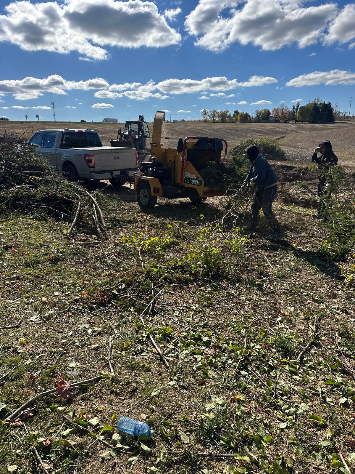 Land Clearing services in Peel Region, Ontario